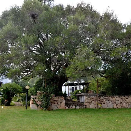 Villa Paciosa Olbia