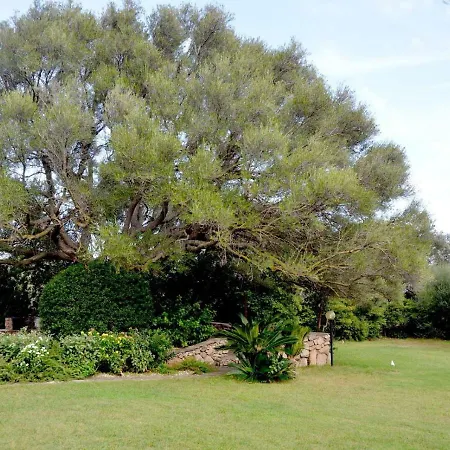 Villa Paciosa